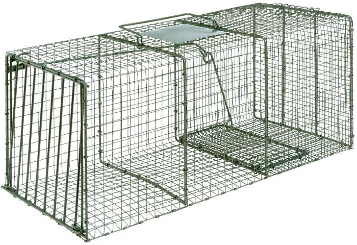 Duke Heavy - Duty Live Animal Cage Trap – Humane Steel Catch & Release Trap - DUAD - Heavy Duty - X - Large - 3