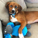Duraplush Moose Dog Toy, Medium - CD2AK - Medium - Blue/Grey - 1 ct - 2