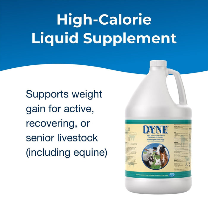 Dyne High Calorie Liquid Nutritional Supplement for Livestock - B7AK - Gallon - 7