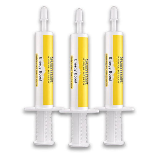 Energy Boost Sublingual for Horses, 3 Dose Pack - SAHD - 3 Pack - 1