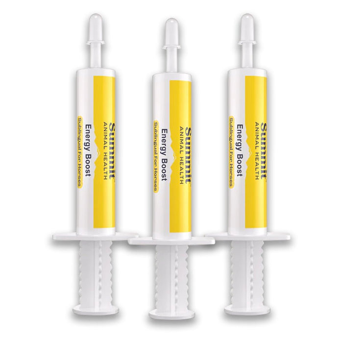 Energy Boost Sublingual for Horses, 3 Dose Pack - SAHD - 3 Pack - 1