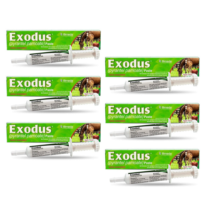 Exodus Pyrantel Pamoate Horse Dewormer Paste - 4CE1-6 - Single Dose Syringe (23.6 g) - 6 Pack - Apple - 7
