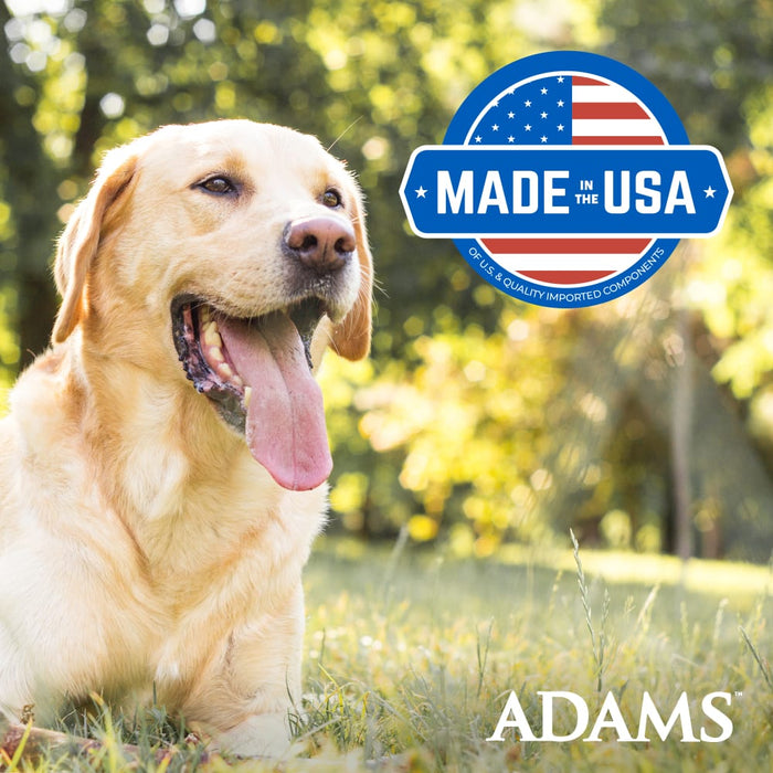 ADAMS Yard & Garden Spray for Flea & Tick (Up to 5,000 Square Feet) 32 Fl oz