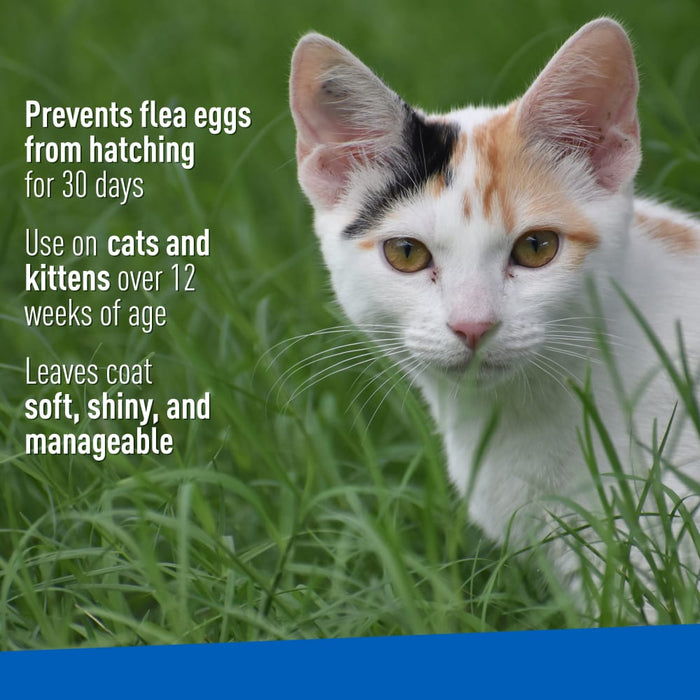 ADAMS Flea & Tick Cleansing Shampoo For Cats, 12 oz