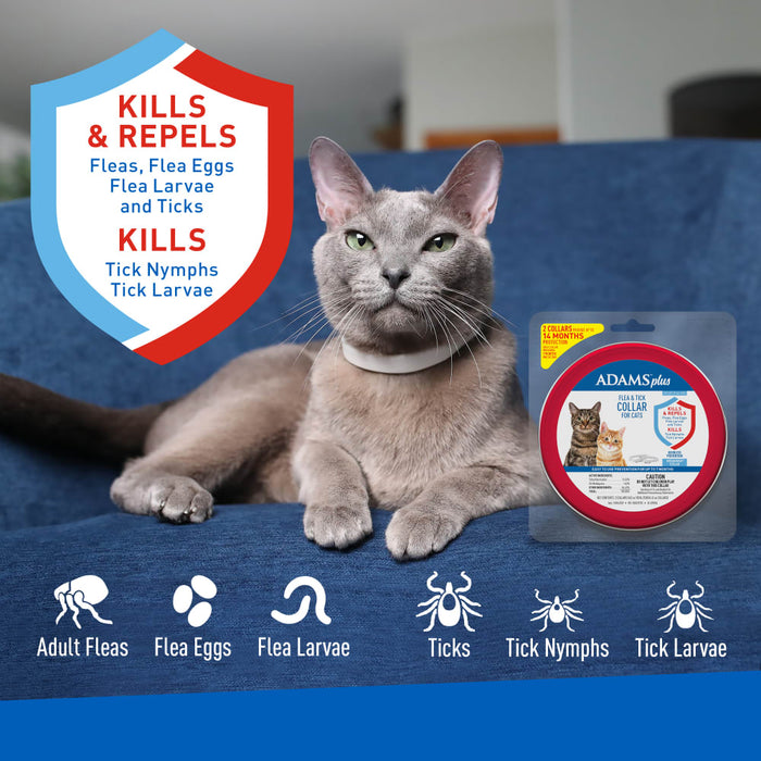 ADAMS Plus Flea & Tick Breakaway Collar for Cats, 2 Pack - 14 Months Protection