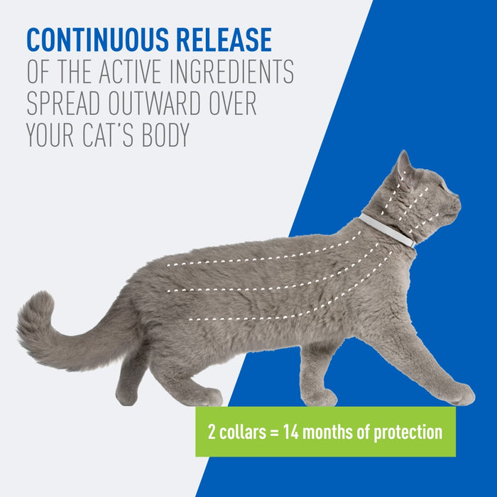 ADAMS Plus Flea & Tick Breakaway Collar for Cats, 2 Pack - 14 Months Protection