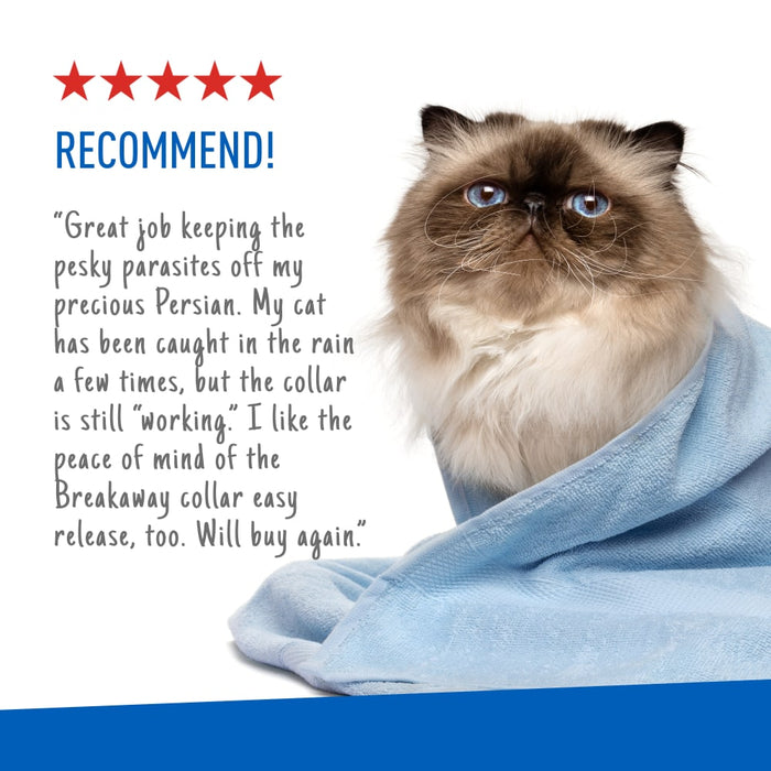 ADAMS Plus Flea & Tick Breakaway Collar for Cats, 2 Pack - 14 Months Protection