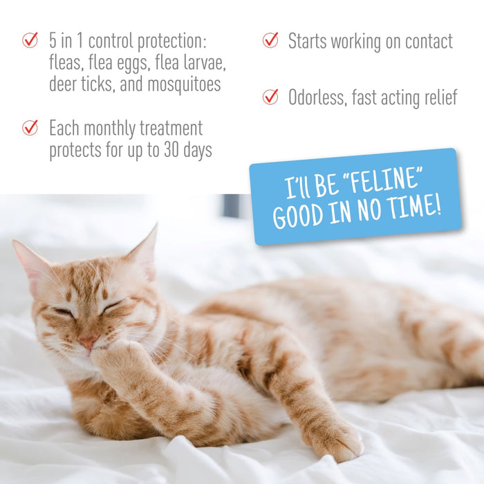 ADAMS Plus Flea & Tick Spot On for Cats, 3 Month Supply