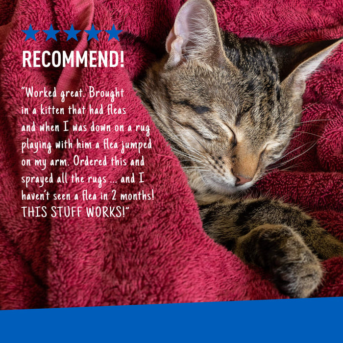 ADAMS Flea & Tick Home Spray