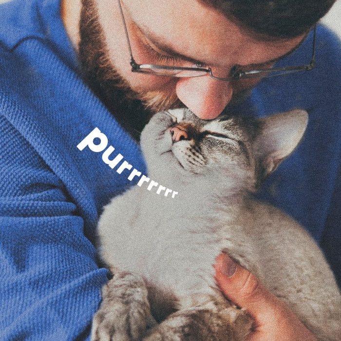 ADAMS Botanicals Flea & Tick Pet & Home Spray, 16 oz