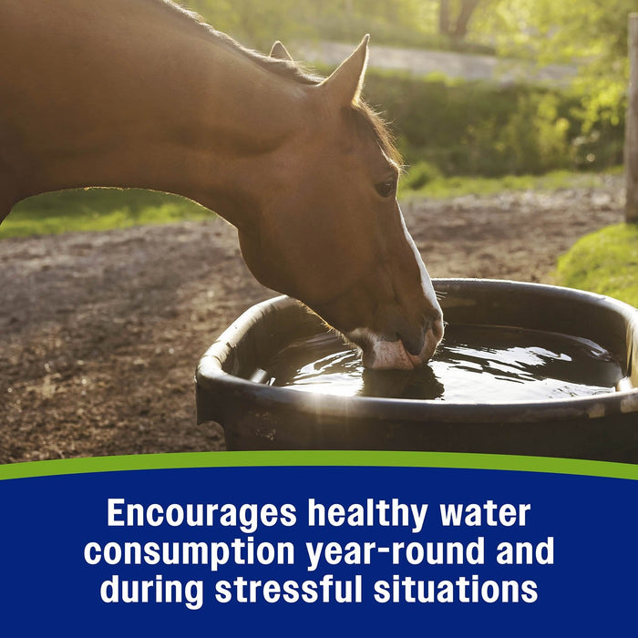 Farnam Apple Elite Electrolyte Pellets for Horses, 7.5 lbs, 40 Day Supply - FA9A - 7.5 lbs - 40 Day Supply - 4