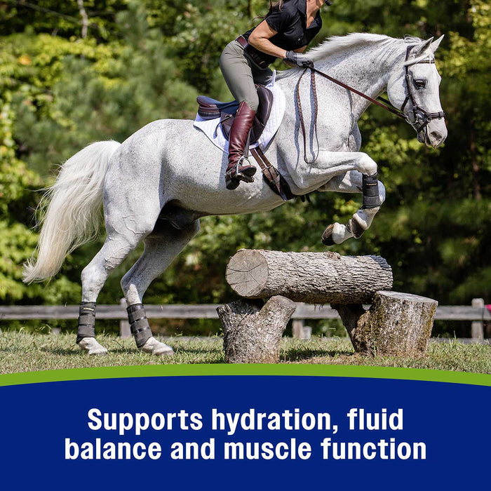 Farnam Apple Elite Electrolyte Pellets for Horses, 7.5 lbs, 40 Day Supply - FA9A - 7.5 lbs - 40 Day Supply - 5