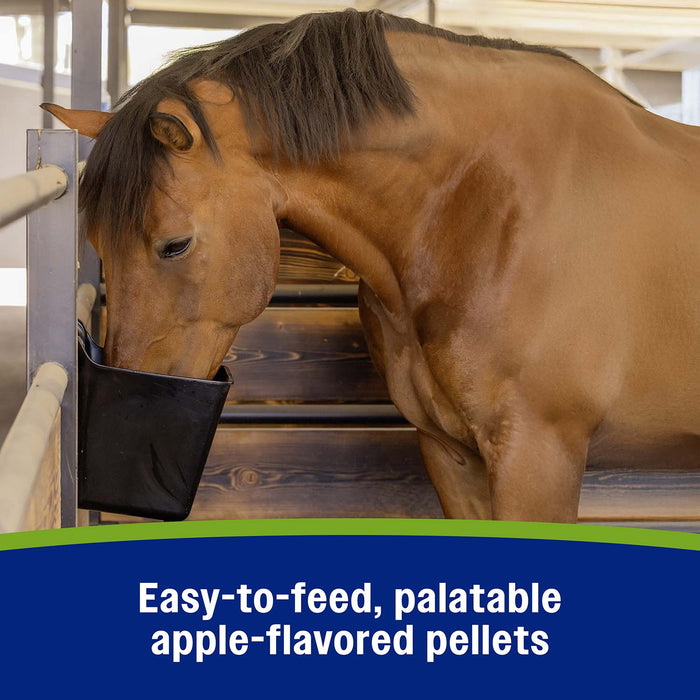 Farnam Apple Elite Electrolyte Pellets for Horses, 7.5 lbs, 40 Day Supply - FA9A - 7.5 lbs - 40 Day Supply - 7