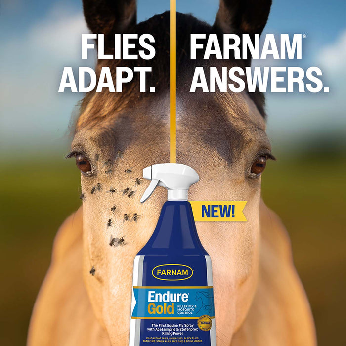 Farnam Endure Gold Killer Fly & Mosquito Spray for Horses - FAZA - 32 oz Spray - 6