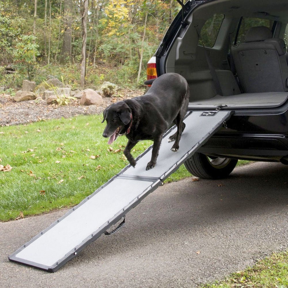 Feather Lite Pet Ramp — Lambert Vet Supplies