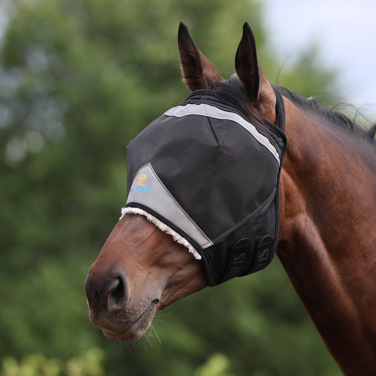 Flyguard Pro Fine Mesh Fly Mask Earless, Black - Multiple Colors ...