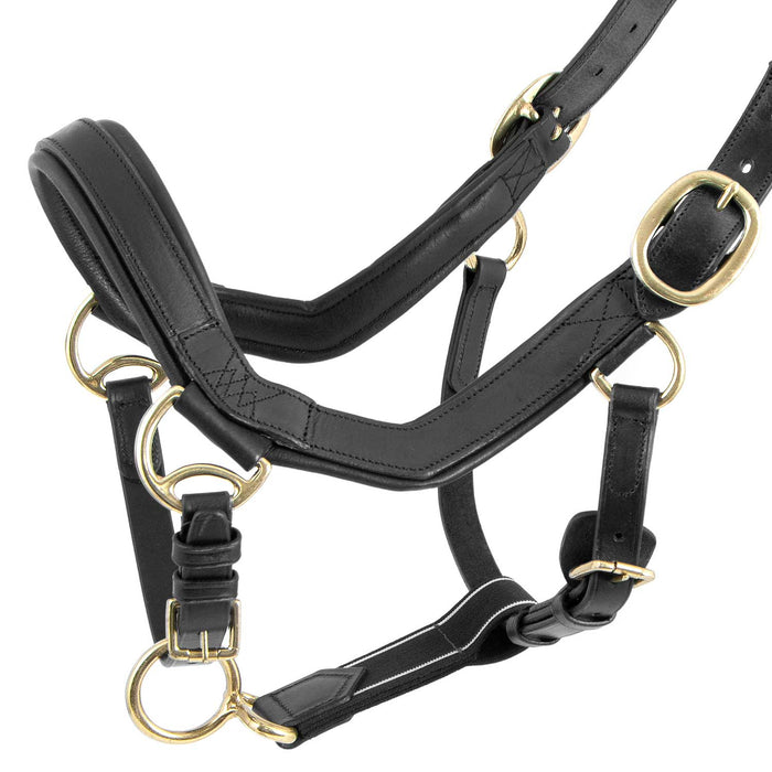 Rambo Micklem Leather Pony & Horse Halter – Anatomical Comfort Fit, Adjustable & Safe