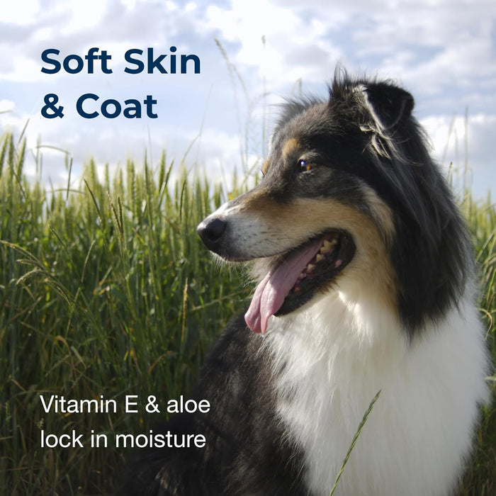 Fresh 'n Clean Good Sport Shampoo, 18 oz - B7Z7 - 5