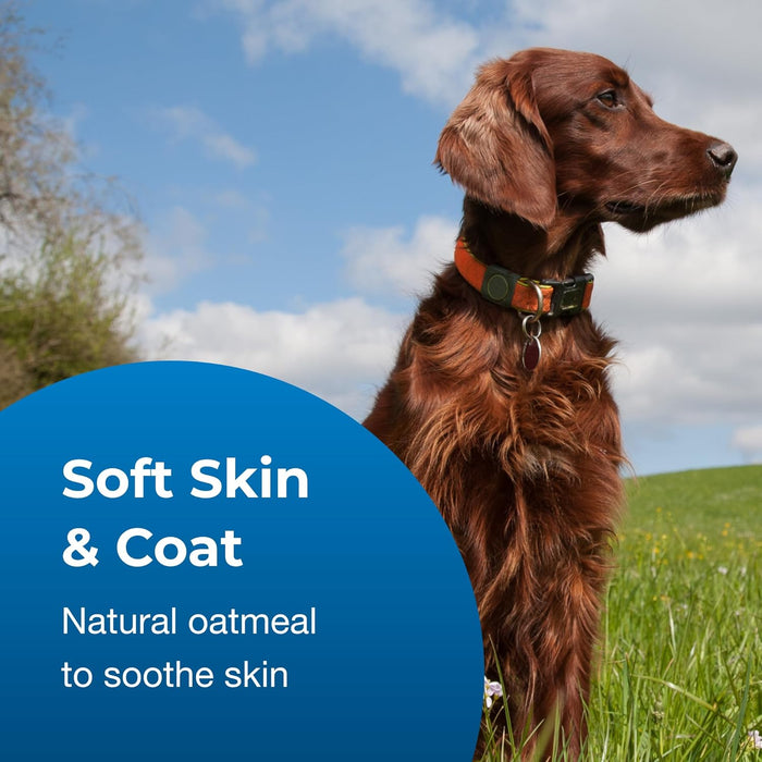 Fresh 'n Clean Oatmeal 'n Baking Soda 10:1 Concentrate Dog Shampoo - L3FU - Gallon - 4