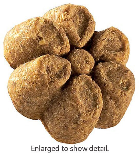 Fruitables Calorie Smart Crunchy Dog Treats, 7 oz - VETFB - Pumpkin/Banana - 13