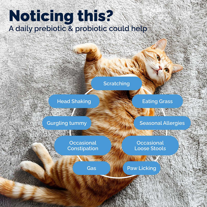 Glandex Daily Prebiotic & Probiotic Powder for Cats, Tuna Flavor, 4.0 oz - VQLAR - Tuna - 4 oz - 5