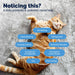 Glandex Daily Prebiotic & Probiotic Powder for Cats, Tuna Flavor, 4.0 oz - VQLAR - Tuna - 4 oz - 5
