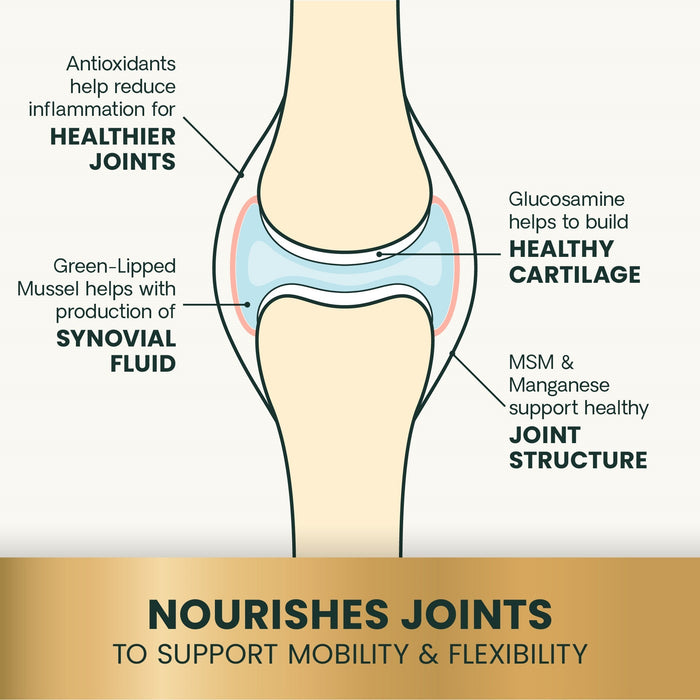 Glyco Flex 3 Joint Support for Dogs, 120 Bite Sized Chews - 015VS-9569-12 - 120 ct - 8