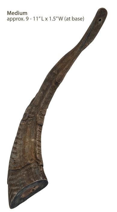 Gobi Goat Horn Natural Dog Chew - QTDAN - Small - 6