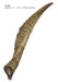 Gobi Goat Horn Natural Dog Chew - QTDAP - Medium - 11