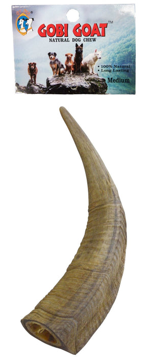 Gobi Goat Horn Natural Dog Chew - QTDAP - Medium - 16