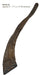 Gobi Goat Horn Natural Dog Chew - QTDAQ - Large - 22