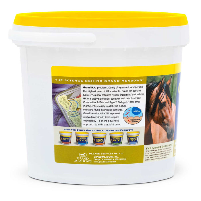 Grand H.A. Hyaluronic Acid Supplement for Joint Support in Horses - 2CDX - 3.75 lb - 2