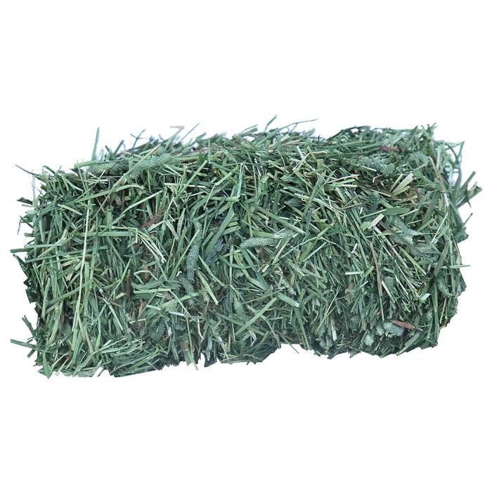 Grandpa’s Best Timothy Hay Loose or Bale – Premium High Fiber Small Pet Hay - 010BEST-06084 - 40 oz - Bale - Timothy - 11