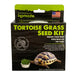 Grow Your Own Kit For Tortoises - MR1EV - Tortoise Grass - 2