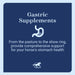 GUT, Digestive & Stomach Support Supplement for Horses, Powder - SMAF - 2 lb - 4