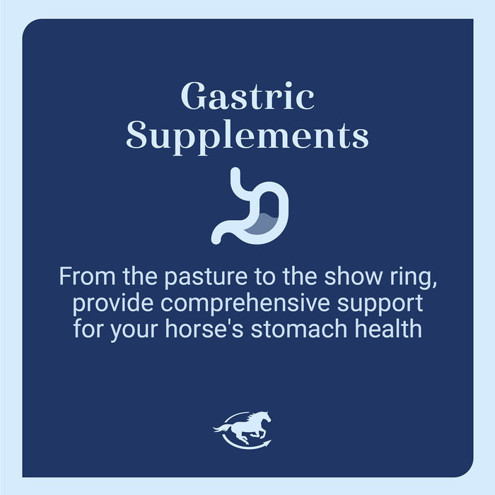 GUT, Digestive & Stomach Support Supplement for Horses, Powder - SMAN - 10 lb - 9