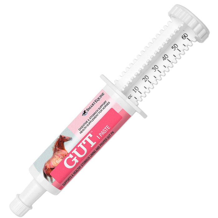 GUT Digestive Support for Horses, Paste - SMACZ - 60 mL - 1