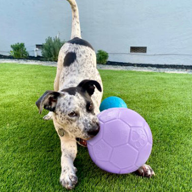 2025 Sunshine Summer Jolly Soccer Ball Color Light Purple