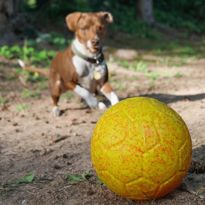 2025 Sunshine Summer Jolly Soccer Ball Color Yellow/Orange