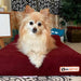 4 Headrest Bed Color Burgandy