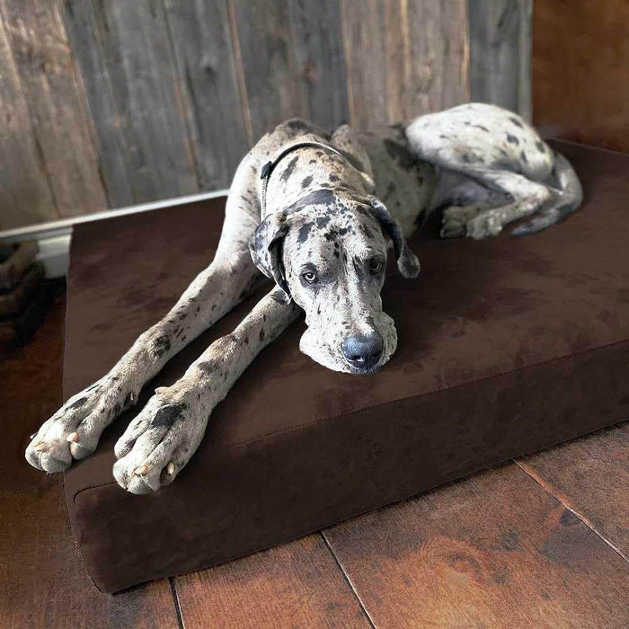 7 Sleek Bed Color Chocolate