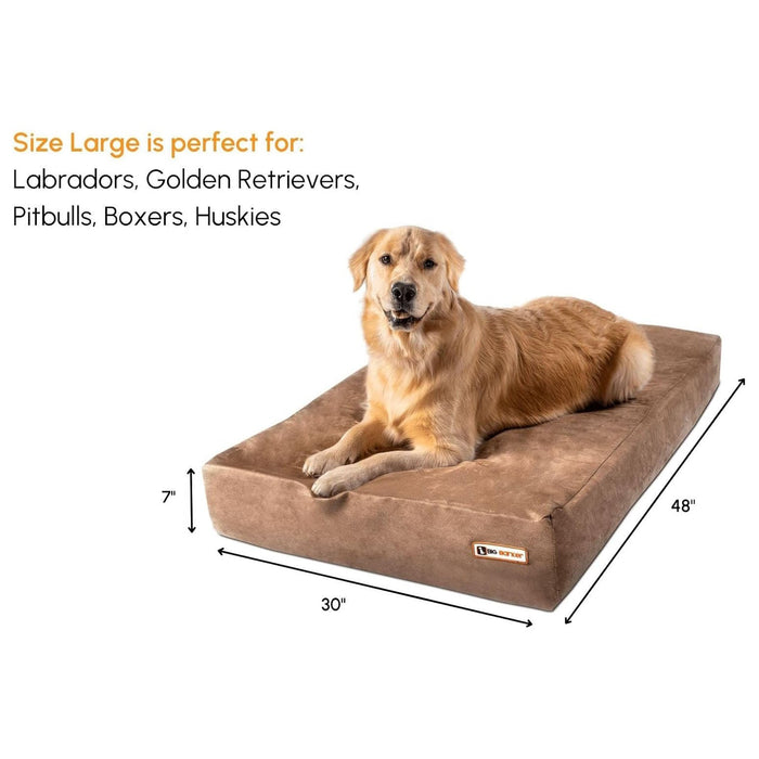 7 Sleek Bed Color Khaki