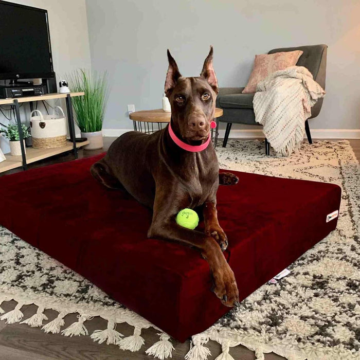7 Sleek Bed Color Burgandy