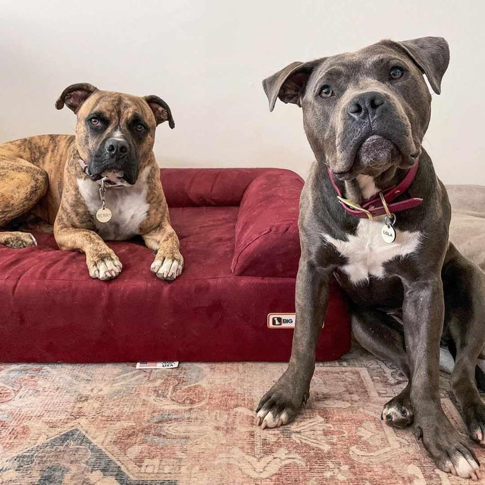 7 Sofa Bed Color Burgandy