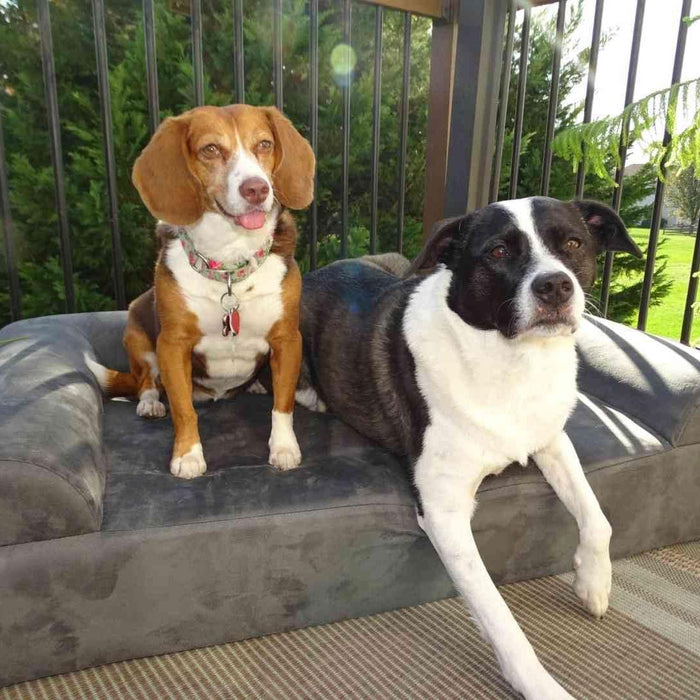 7 Sofa Bed Color Charcoal