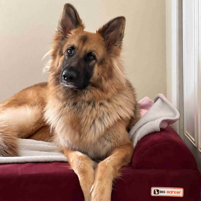 7 Sofa Bed Color Burgandy