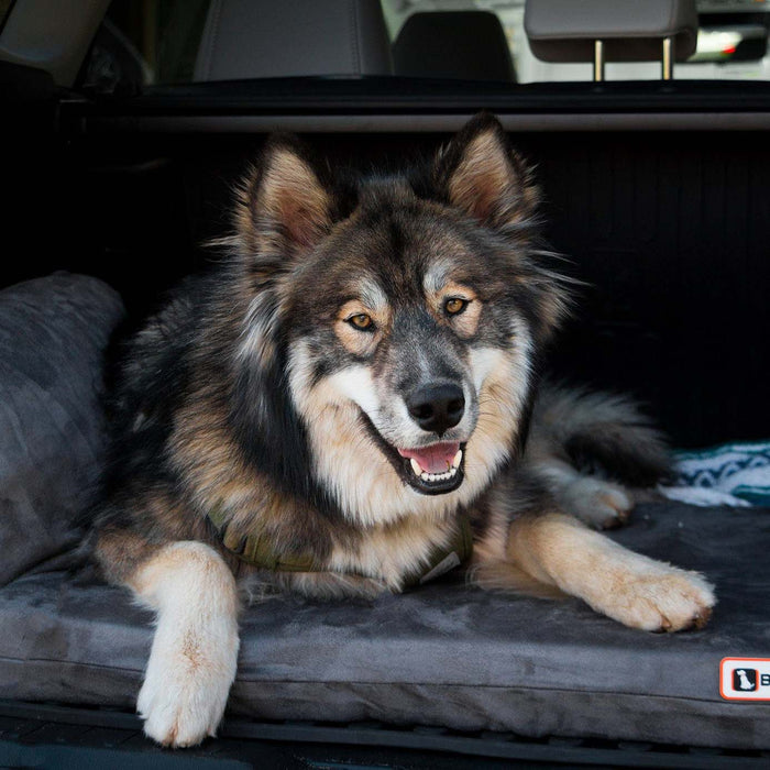 3 SUV Bed Color Charcoal