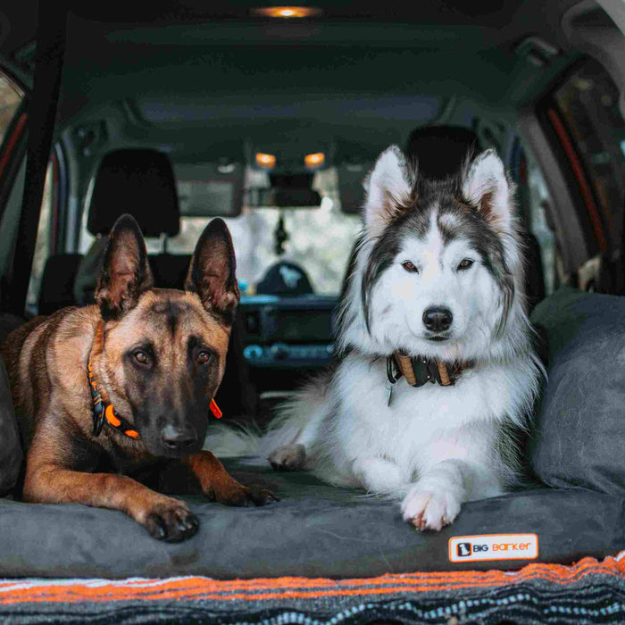 3 SUV Bed Color Charcoal