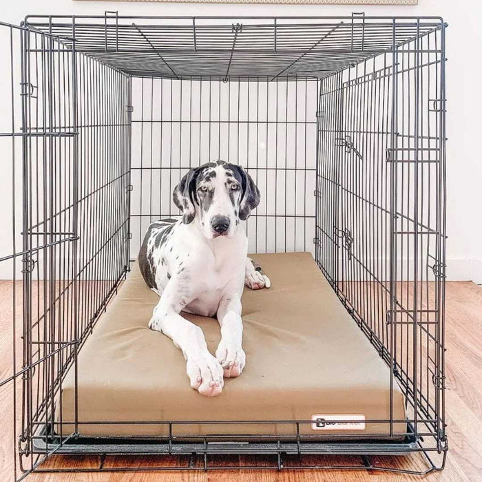 4 Crate Bed Color Cordura