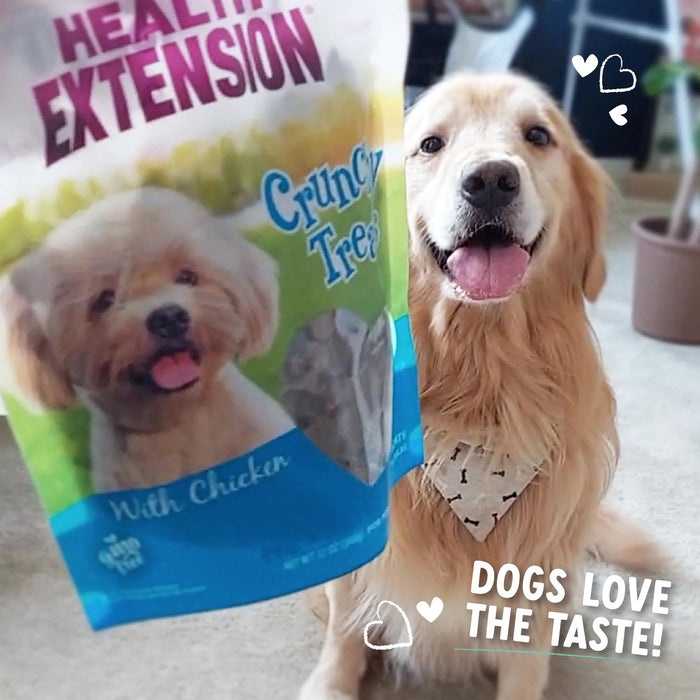 Health Extension Crunchy Heart - Shaped Cookie Dog Treats, Small, 12 oz - HE2AC - 12 oz - Chicken - 15